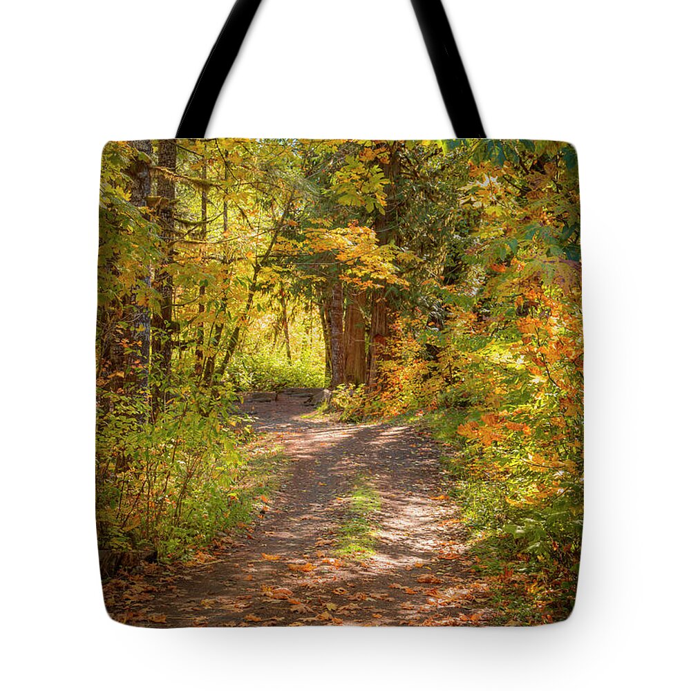 National Tote Bag featuring the photograph Forest Road 0905 by Kristina Rinell