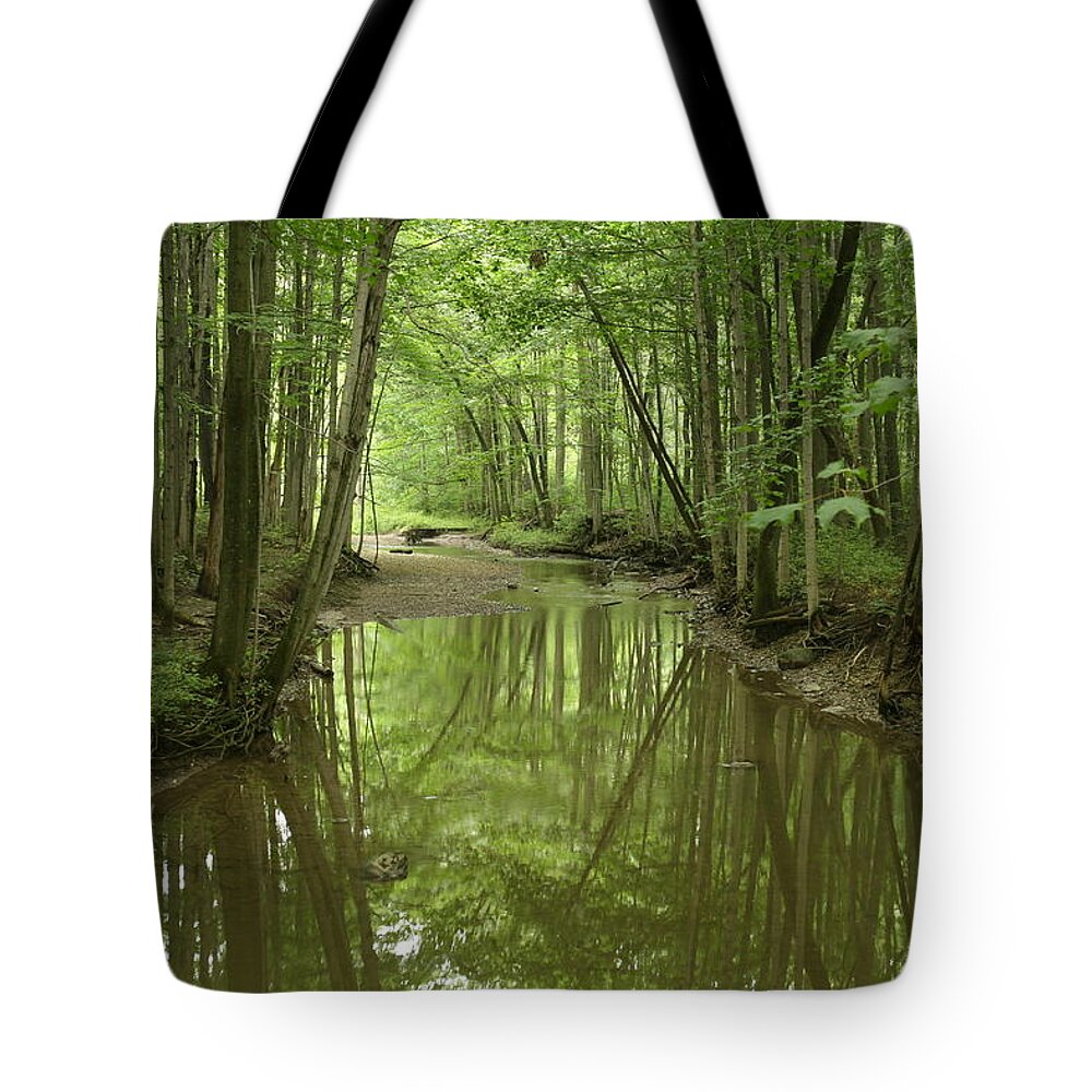 Curve Tote Bag featuring the photograph Forest Stream by Strathroy