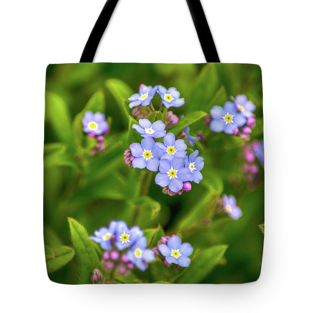 Flowers Tote Bag featuring the photograph Forget Me Nots by Christina Rollo