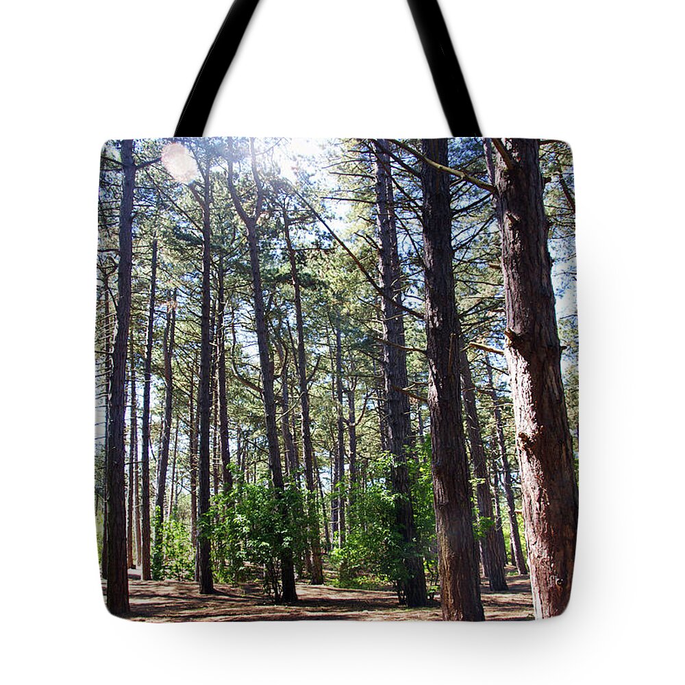 Formby Tote Bag featuring the photograph  FORMBY. Woodland By The Coast by Lachlan Main