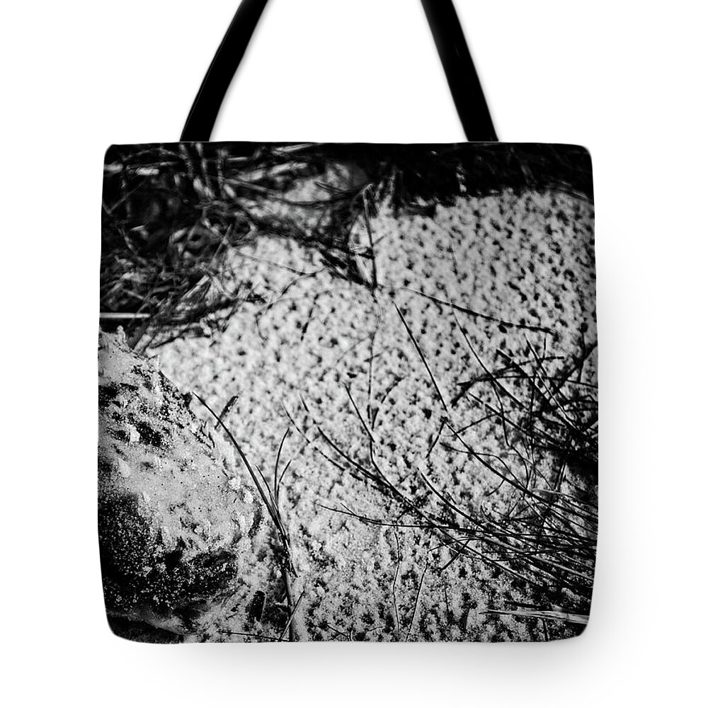 Dead Animal Tote Bag featuring the photograph Found Fish by Maggy Marsh