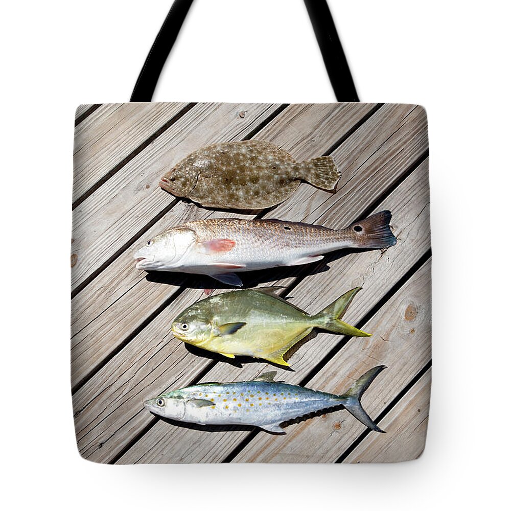 Four Caught Fish Tote Bag by Sean Murphy 