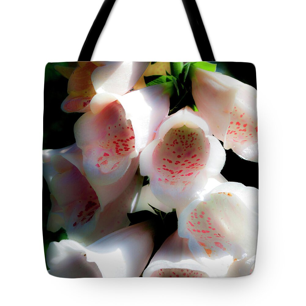  Tote Bag featuring the photograph Foxglove by Lee Santa