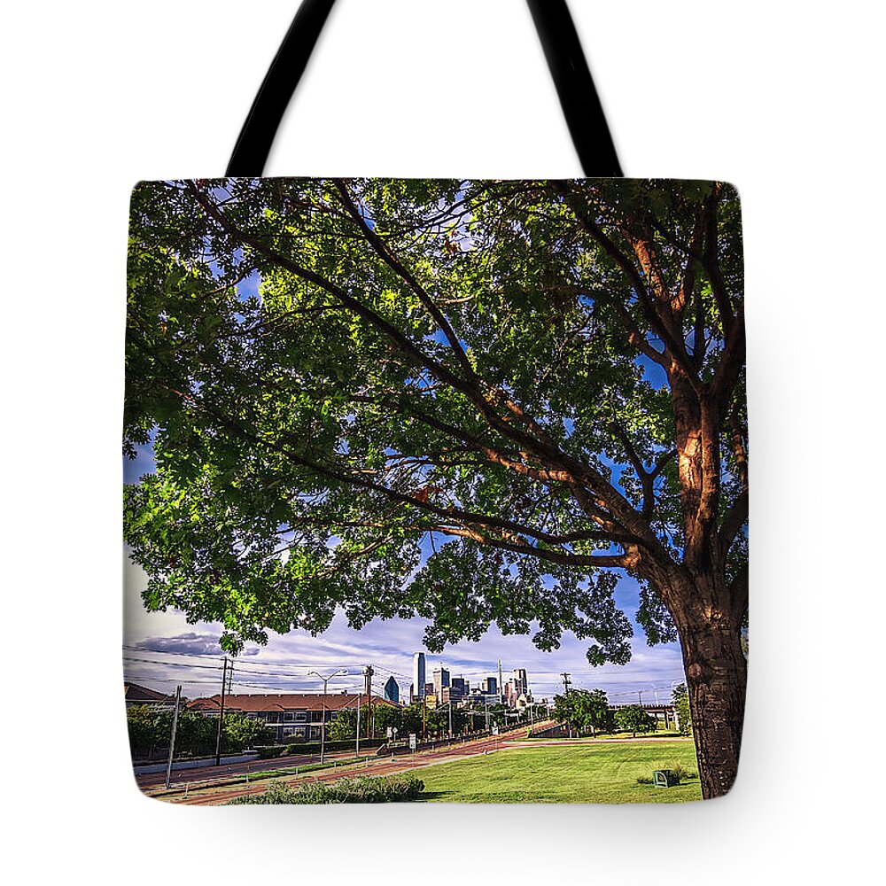 Fractals Tote Bag featuring the photograph Fractals by Peter Hull