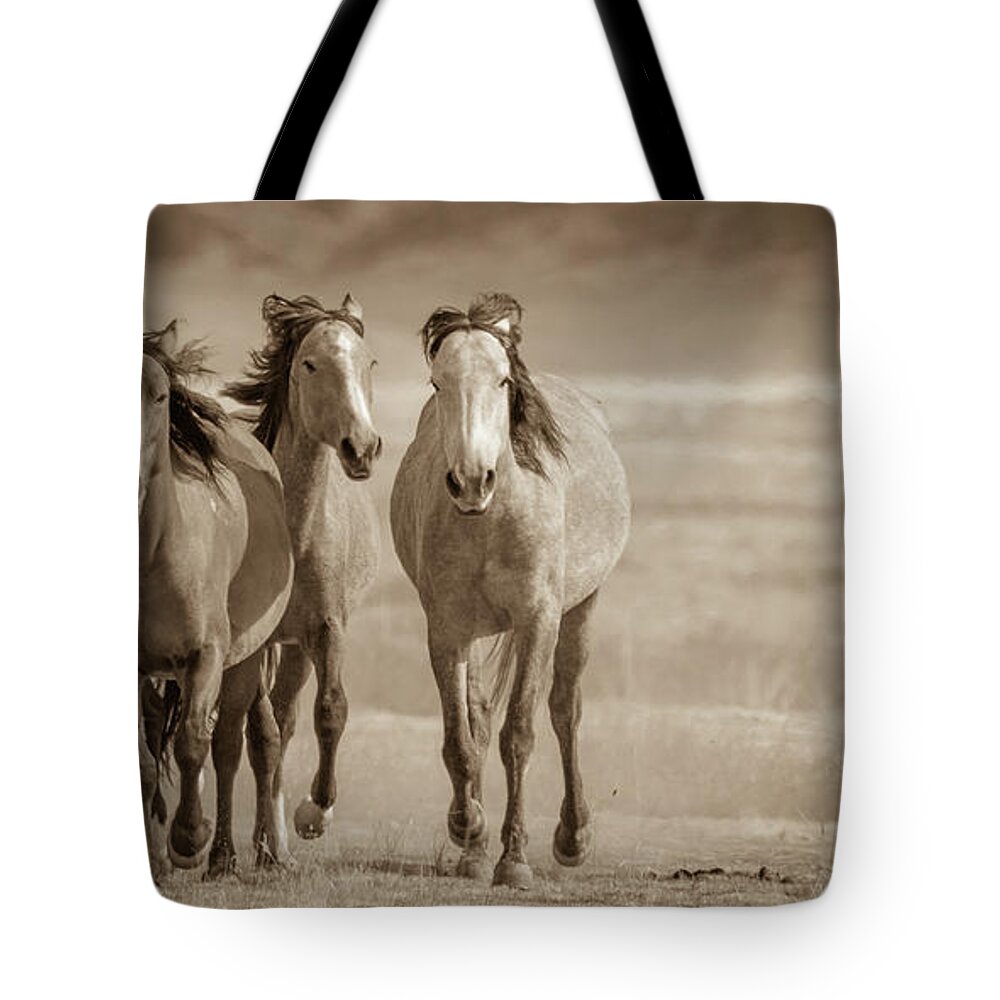 Wild Horses Tote Bag featuring the photograph Free family 2 by Mary Hone