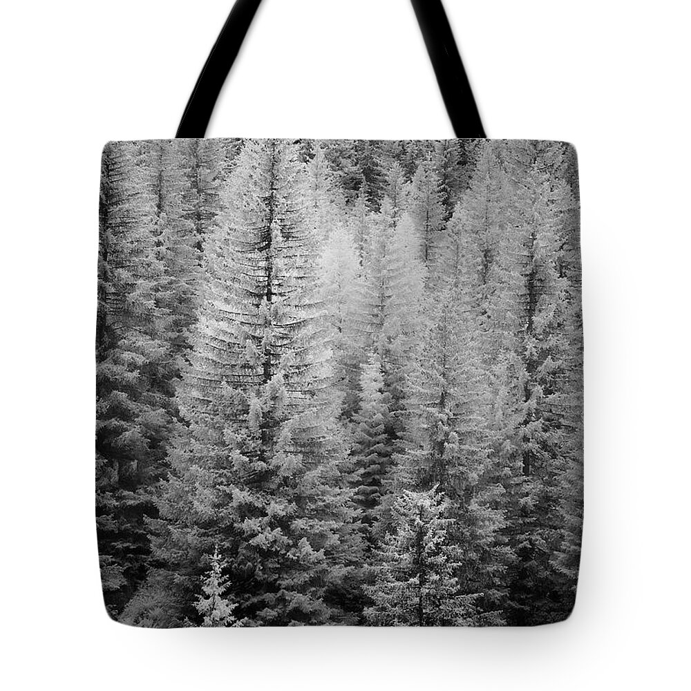 Decor Tote Bag featuring the photograph French Alps Trees by Jon Glaser