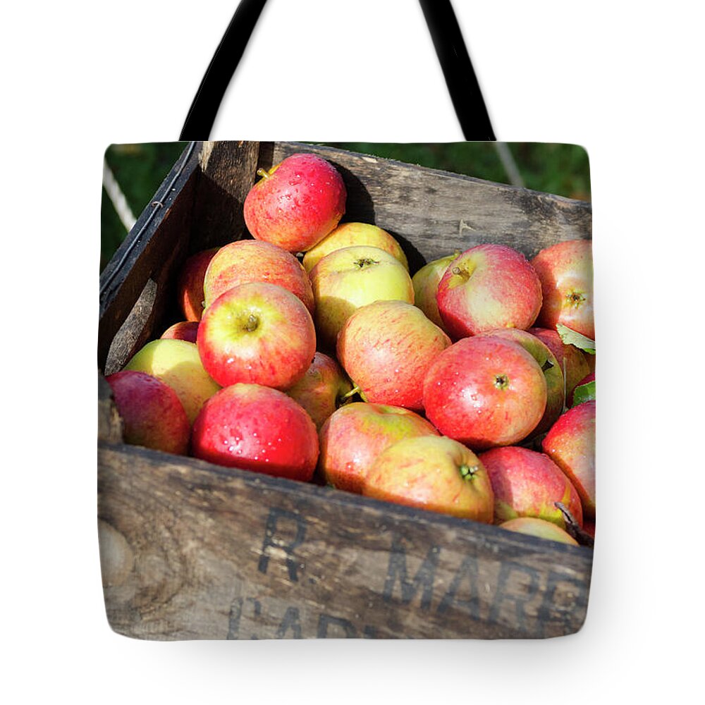 Fresh Apples In Wooden Box Tote Bag by Liam Bailey 