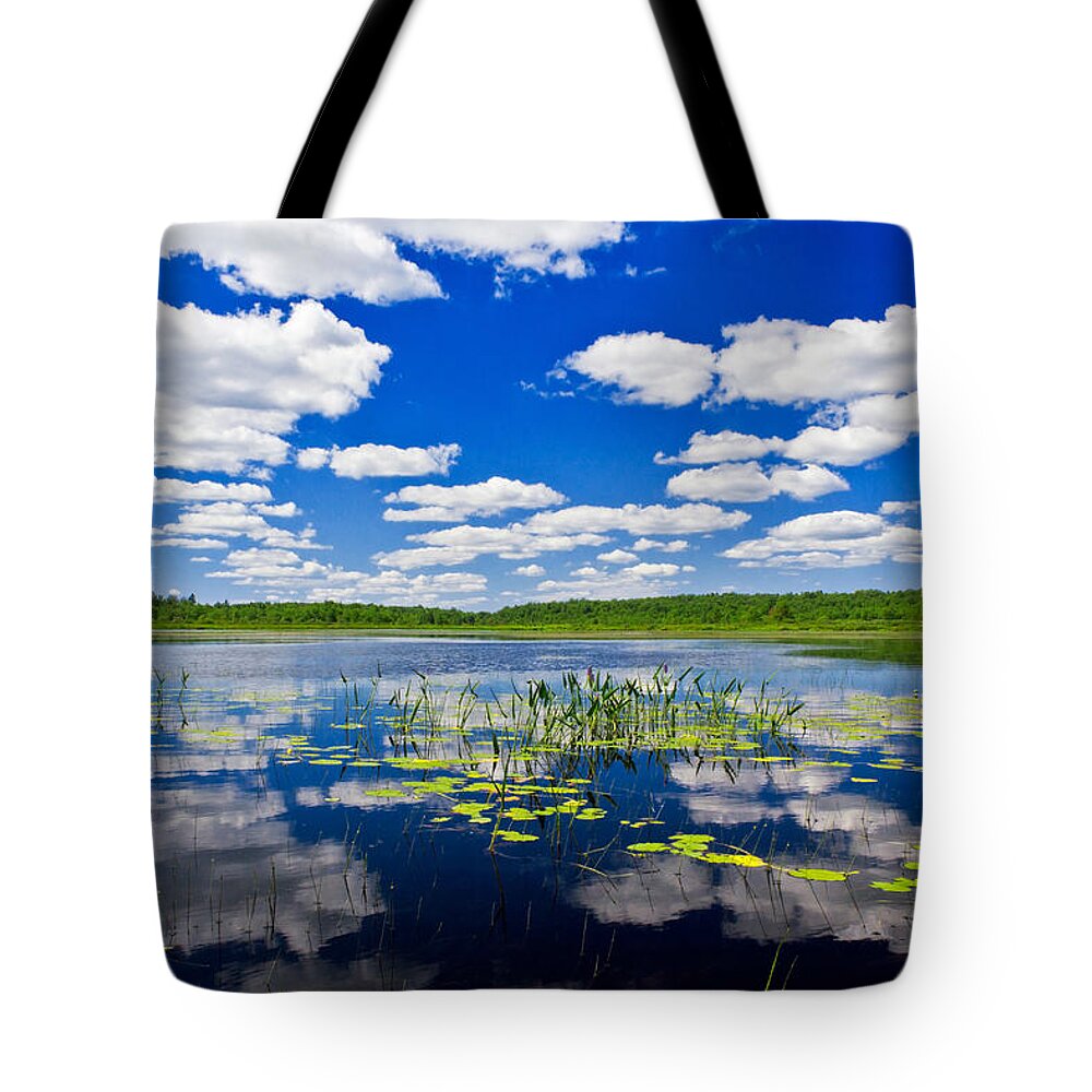 Alleghenies Tote Bag featuring the photograph Freshwater Pond Littoral Zone Habitat by Michael Gadomski
