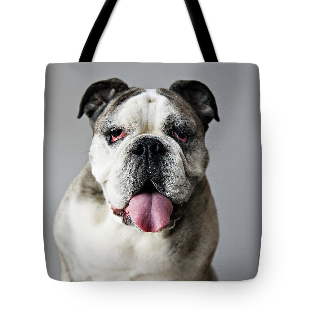 Pets Tote Bag featuring the photograph Frida by Laura Layera