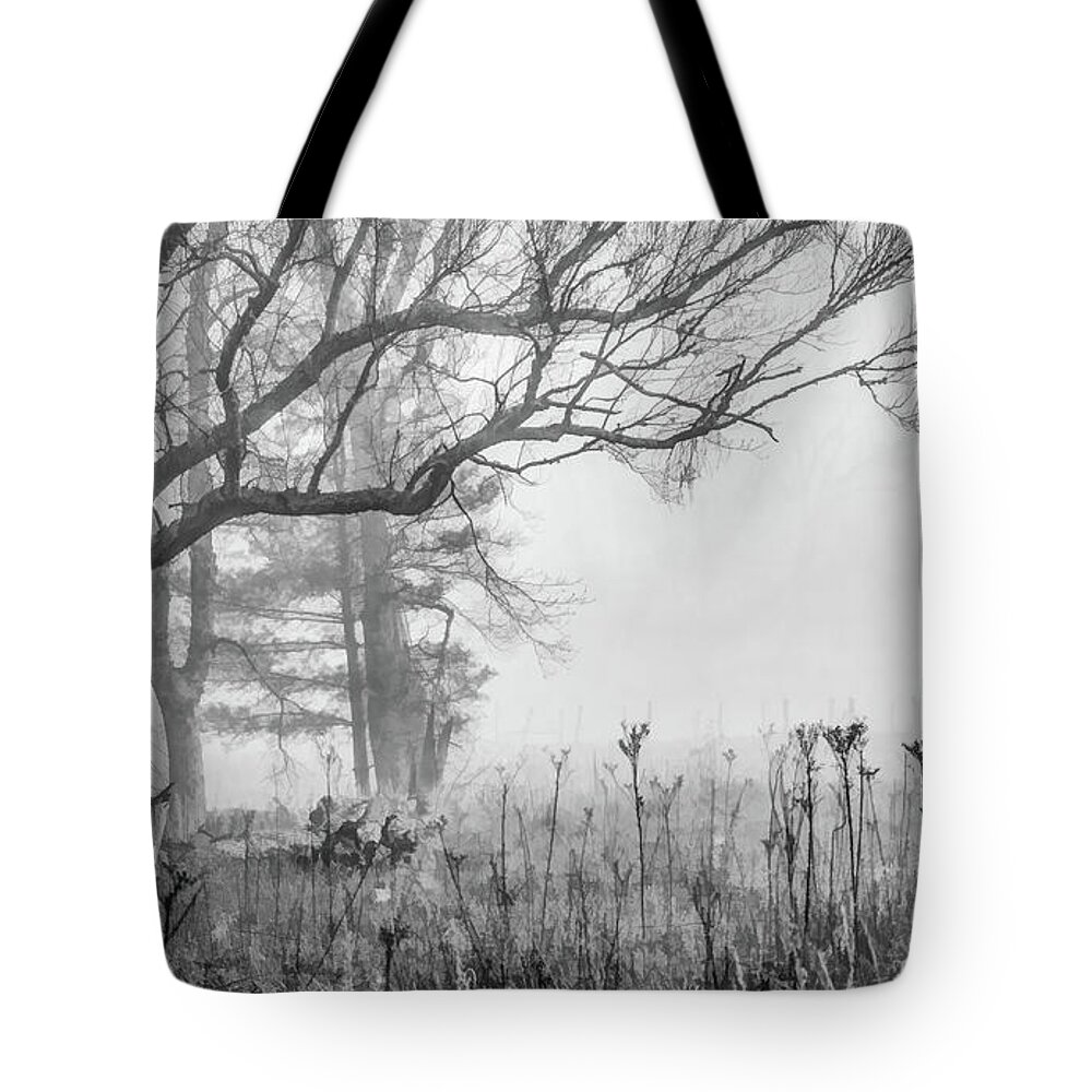 Cades Cove Tote Bag featuring the photograph Friendly Fog, Black and White by Marcy Wielfaert