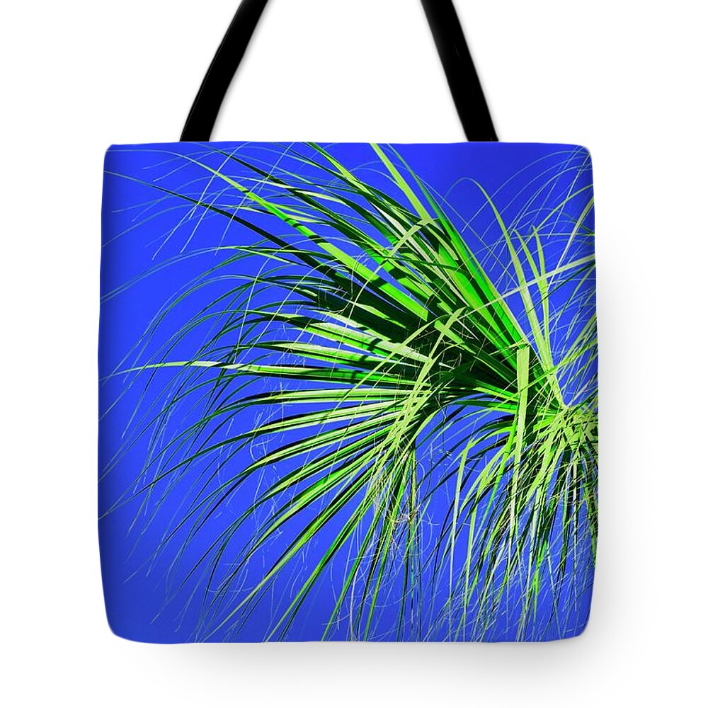 Palm Tree Tote Bag featuring the photograph Fringe by Debra Grace Addison