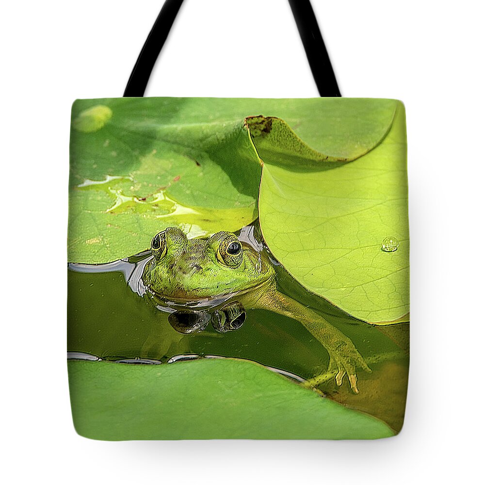Frog Tote Bag featuring the photograph Frog by Minnie Gallman