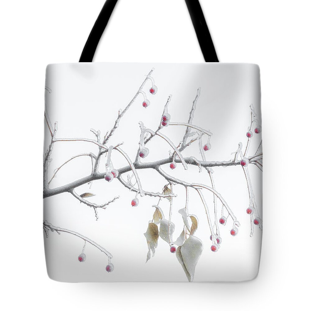 Winter Tote Bag featuring the photograph Frosted Berries by Darren White