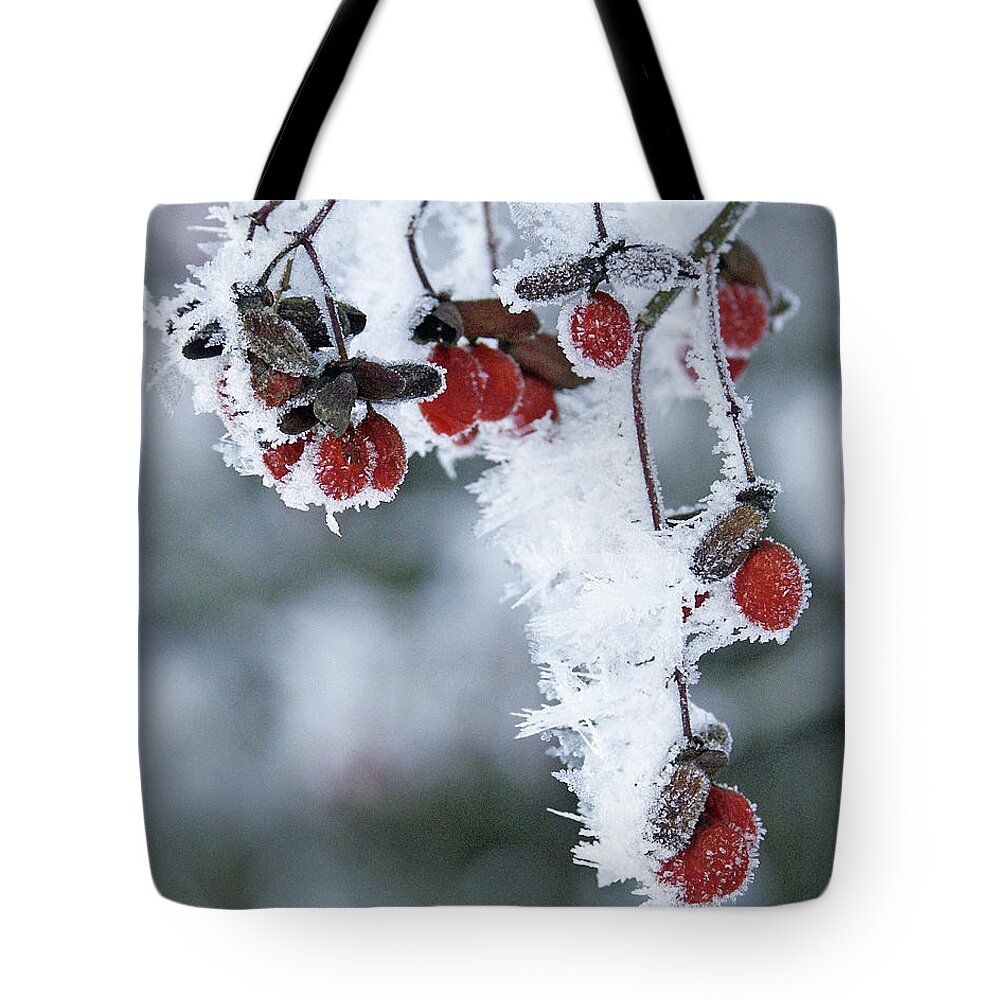 Snow Tote Bag featuring the photograph Frosty Berries In Michigan Winter by Stephen Brown