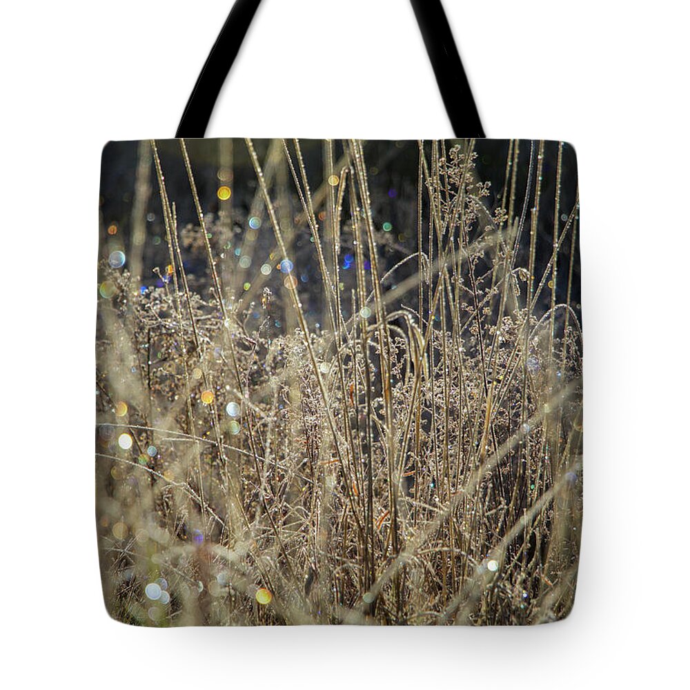 Frost Tote Bag featuring the photograph Frosty Meadow Grass 1 by Randy Robbins