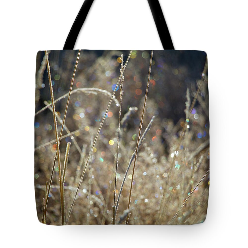 Frost Tote Bag featuring the photograph Frosty Meadow Grass 2 by Randy Robbins
