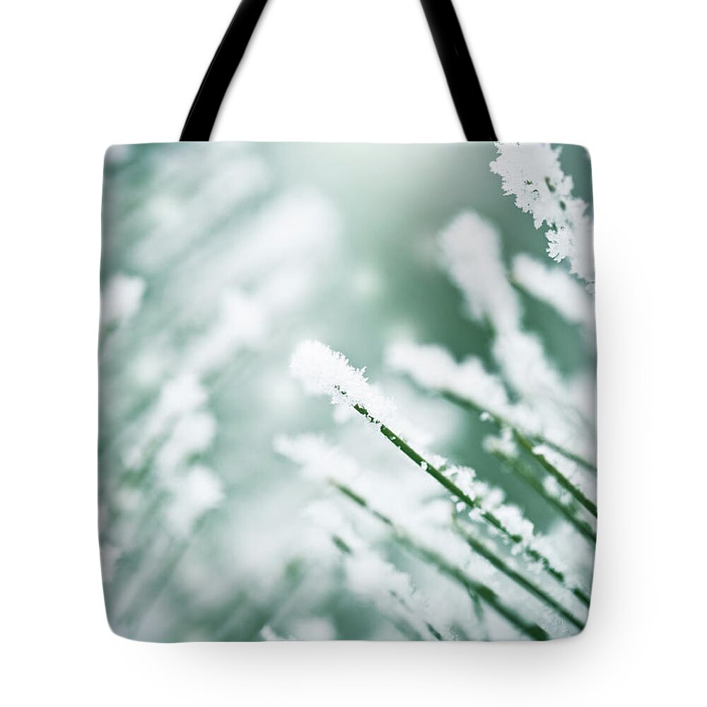 Needle Tote Bag featuring the photograph Frozen Pine Branch by Jasmina007