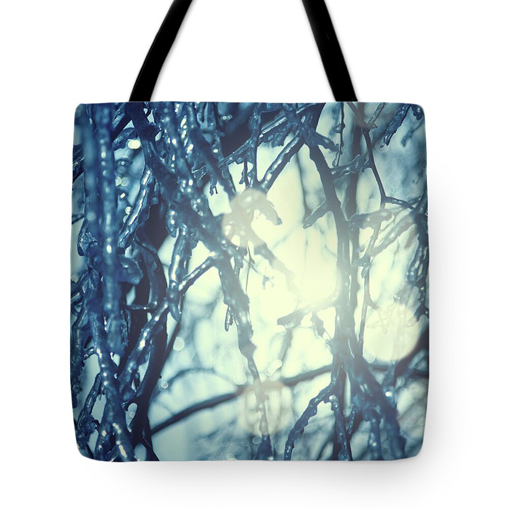 Melting Tote Bag featuring the photograph Frozen Tree Branch by Neoblues