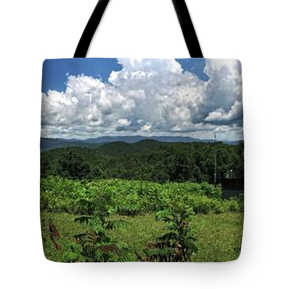 Panorama Tote Bag featuring the photograph Ft. Mountain Panorama by George Taylor