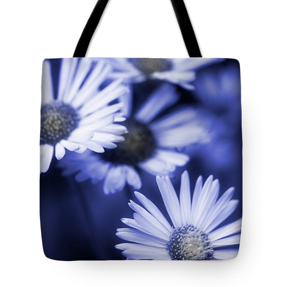 Daisy Tote Bag featuring the photograph Fun With Daisies by Mike Eingle