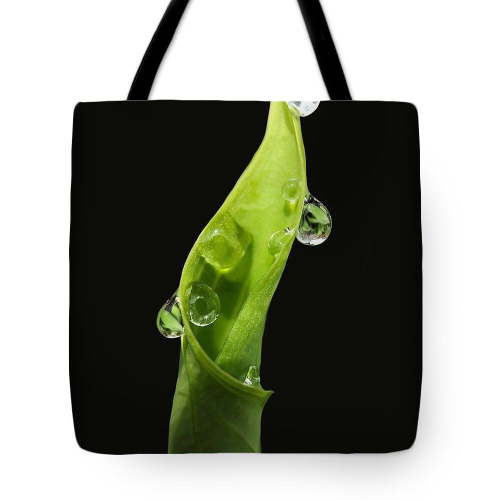 Leaf Tote Bag featuring the photograph Furled by Diana Rajala