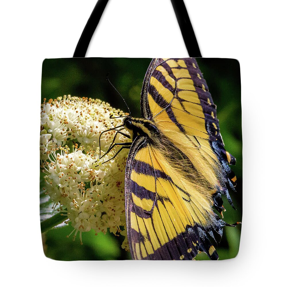 Butterfly Tote Bag featuring the photograph Fuzzy Butterfly by Lora J Wilson