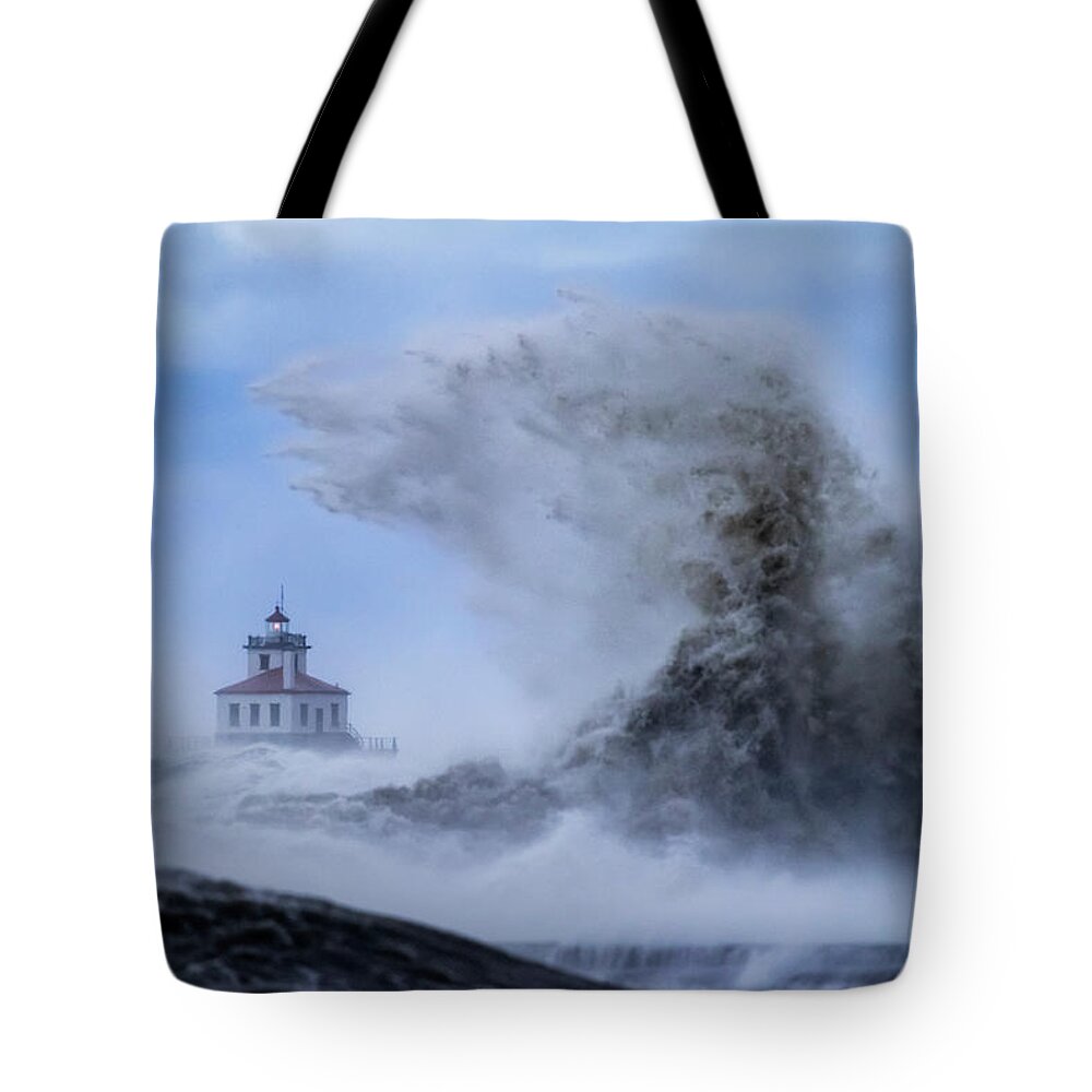 Oswego Tote Bag featuring the photograph Gales of November by Everet Regal