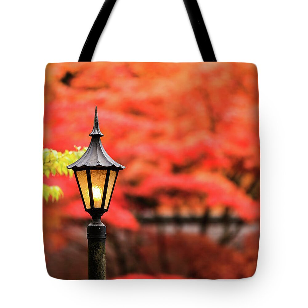 Japanese Garden Tote Bag featuring the photograph Garden Sentry by Briand Sanderson