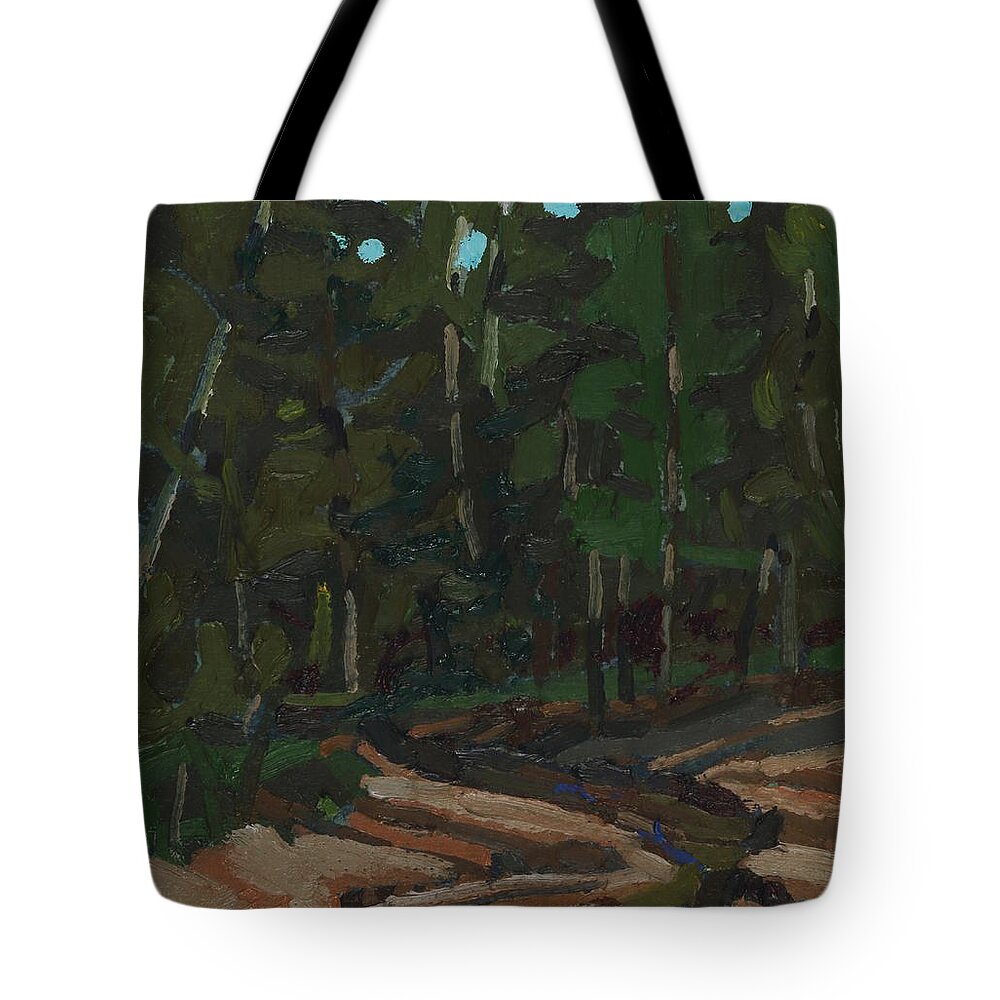2122 Tote Bag featuring the painting Gargantua Harbour Brook by Phil Chadwick