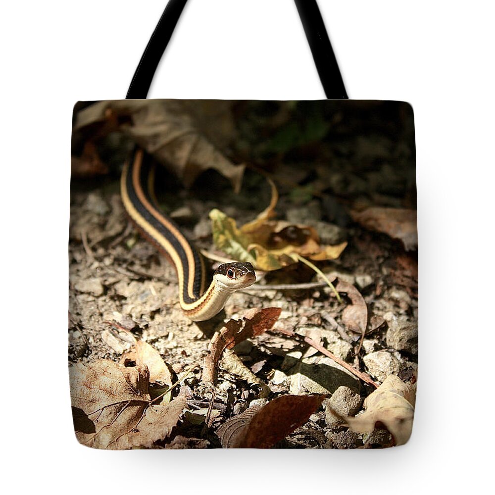 Garter Snake Tote Bag featuring the photograph Garter by Nunweiler Photography