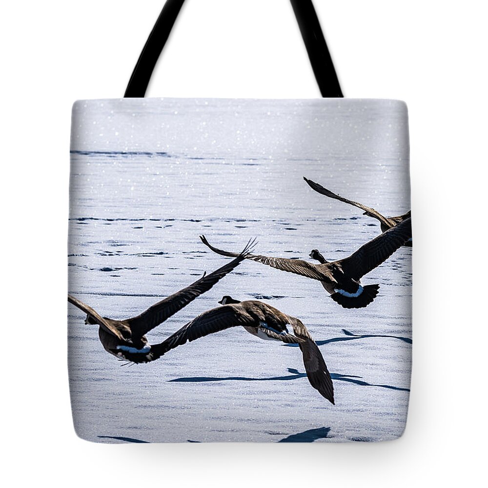 Geese Tote Bag featuring the photograph Geese over Frozen Kitring Pond by Tim Kathka