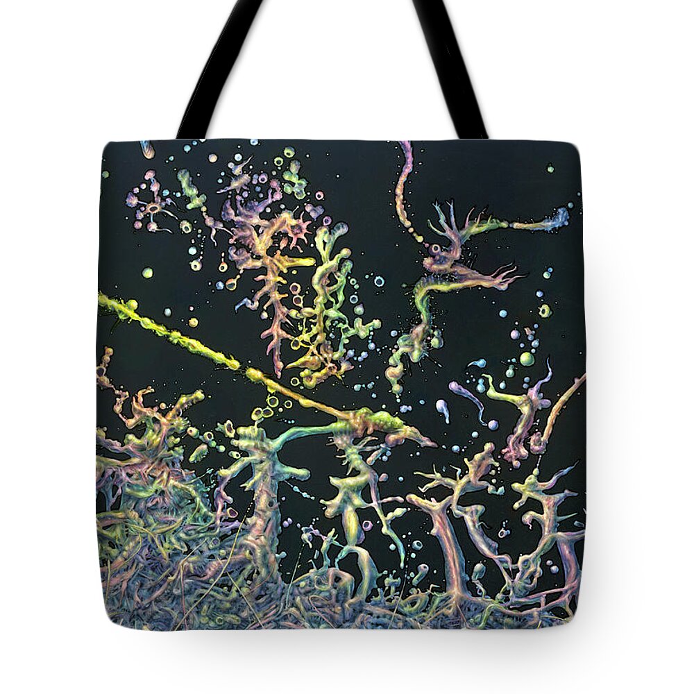 Genesis Tote Bag featuring the painting Genesis by James W Johnson