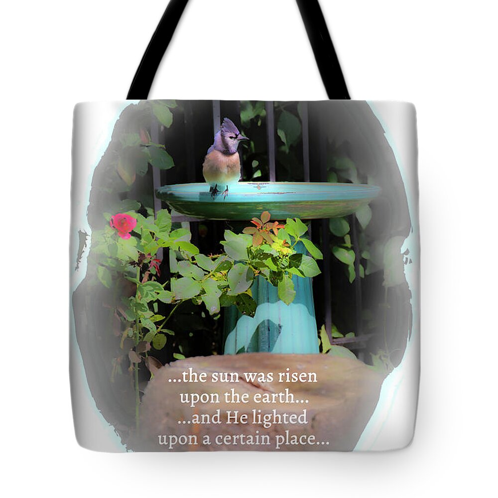 Genesis Tote Bag featuring the photograph Genesis Sun Light by Diane Lindon Coy