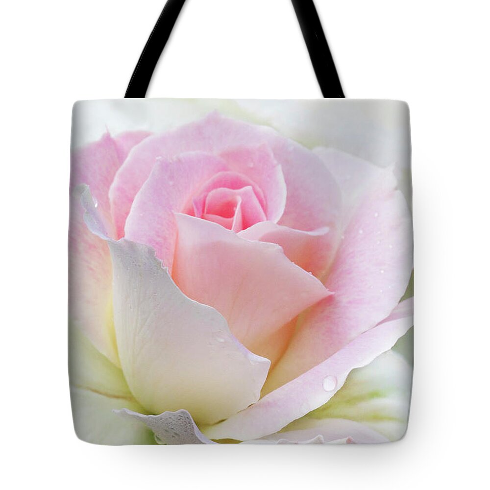 Gentle Beauty Tote Bag featuring the photograph Gentle Beauty by Patty Colabuono