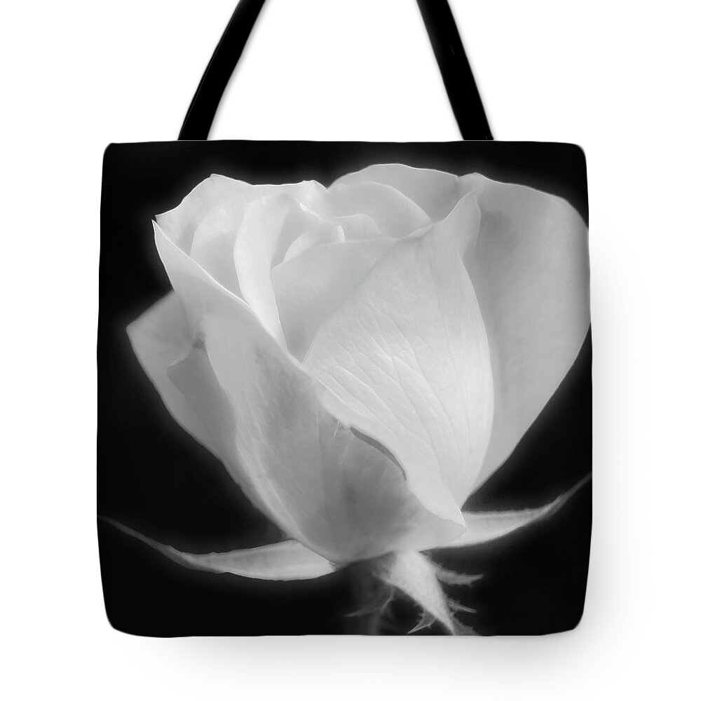 Flower Tote Bag featuring the photograph Gently Opening by Leda Robertson