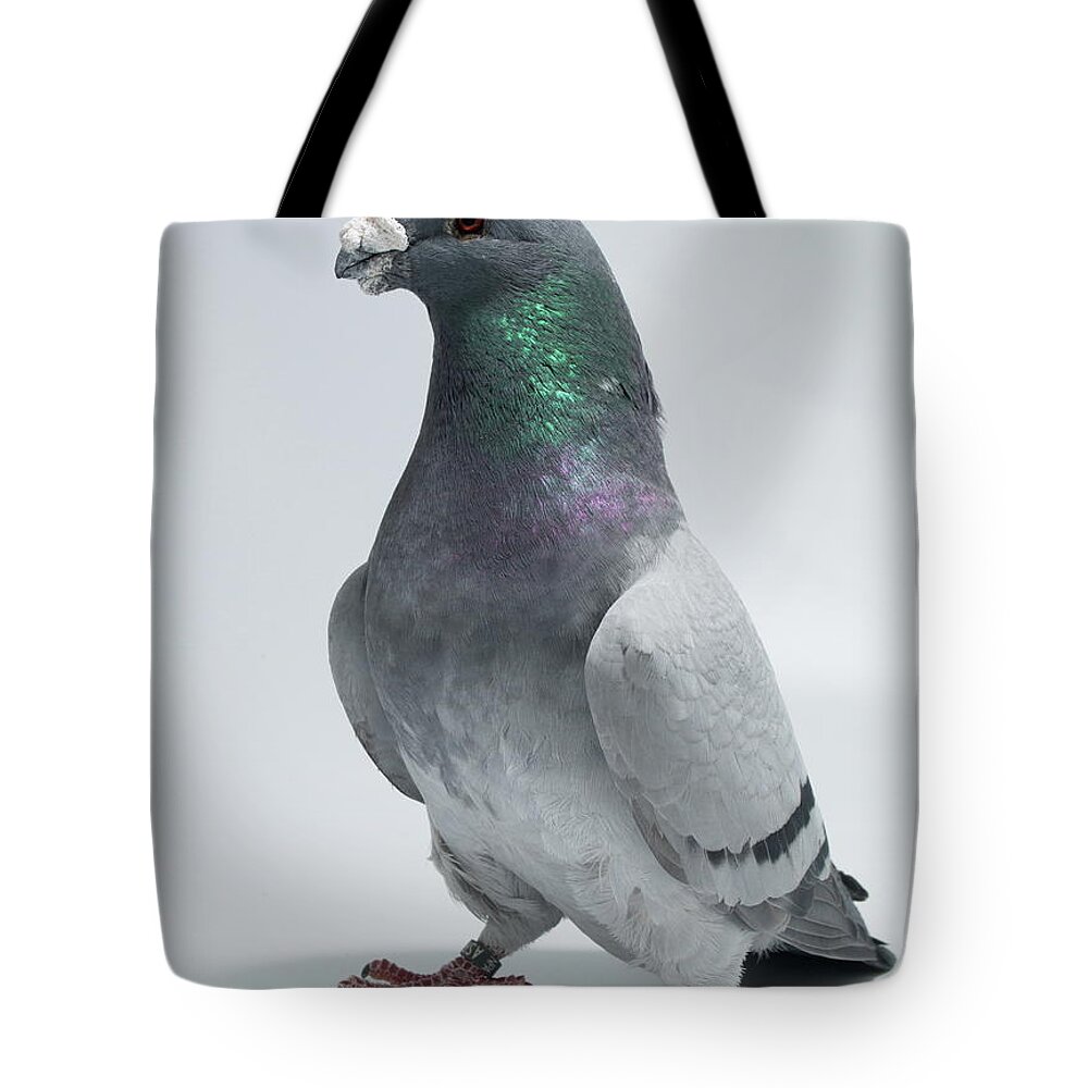Pigeon Tote Bag featuring the photograph American Show Racer by Nathan Abbott