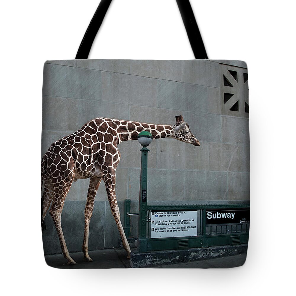 Part Of A Series Tote Bag featuring the photograph Giraffe Entering Subway by Thomas Jackson