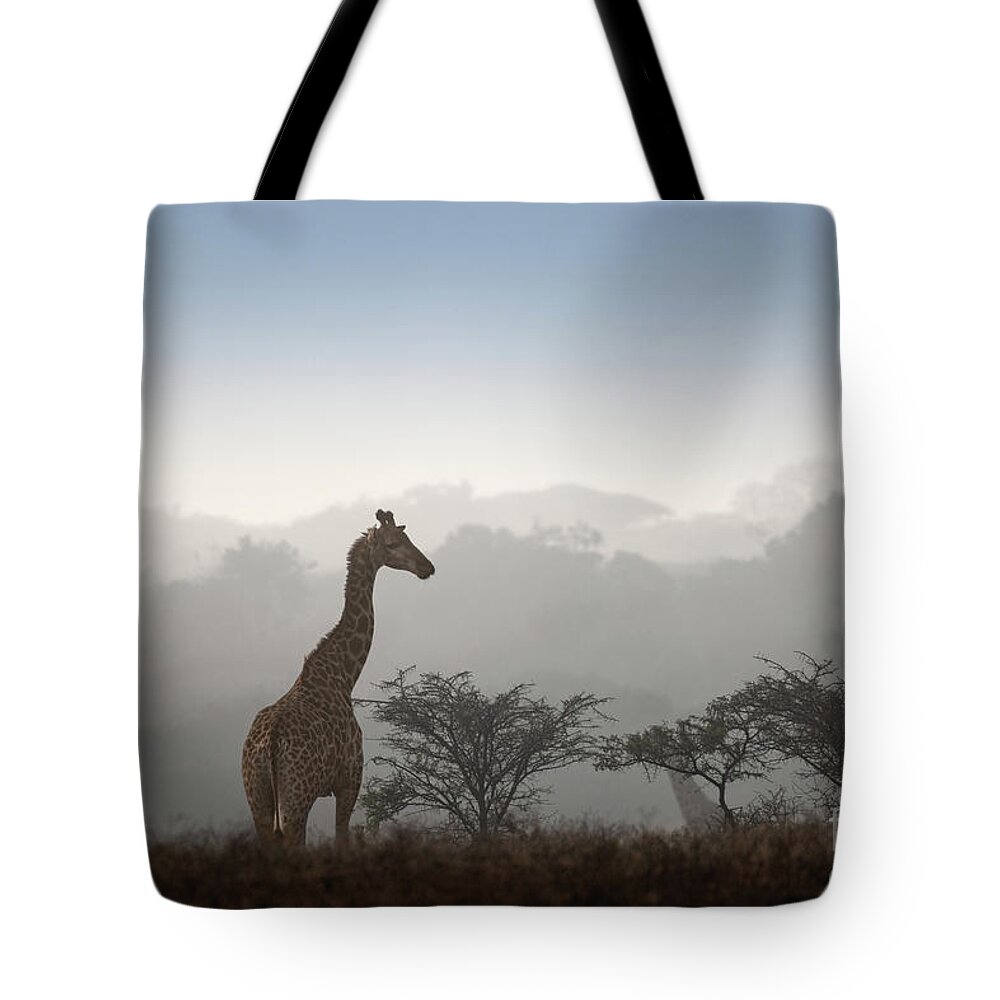 Giraffe Tote Bag featuring the photograph Giraffe in the Mist by Jamie Pham