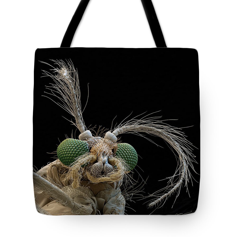 Animal Tote Bag featuring the photograph Glassworm, Chaoborus Crystallinus, Sem by Meckes/ottawa