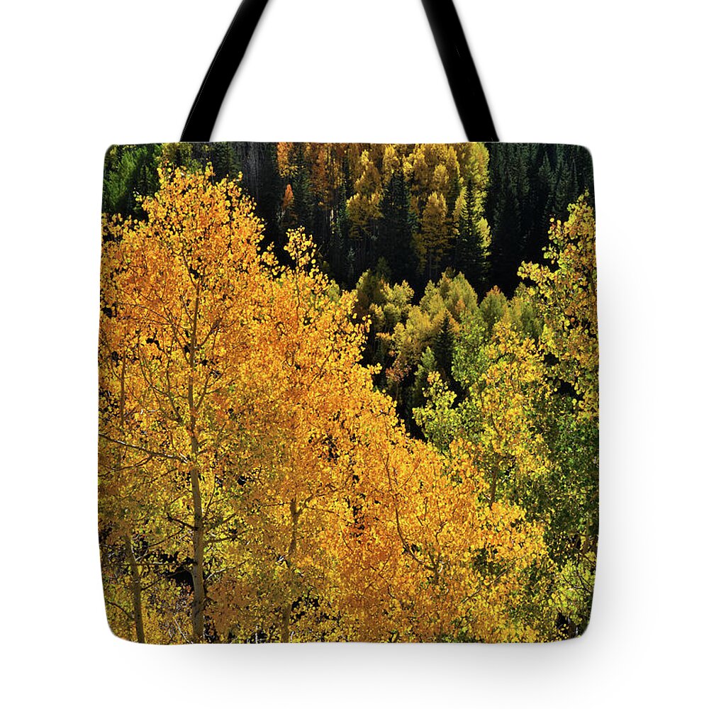 Cclorado Tote Bag featuring the photograph Glowing Aspens along Highway 550 by Ray Mathis