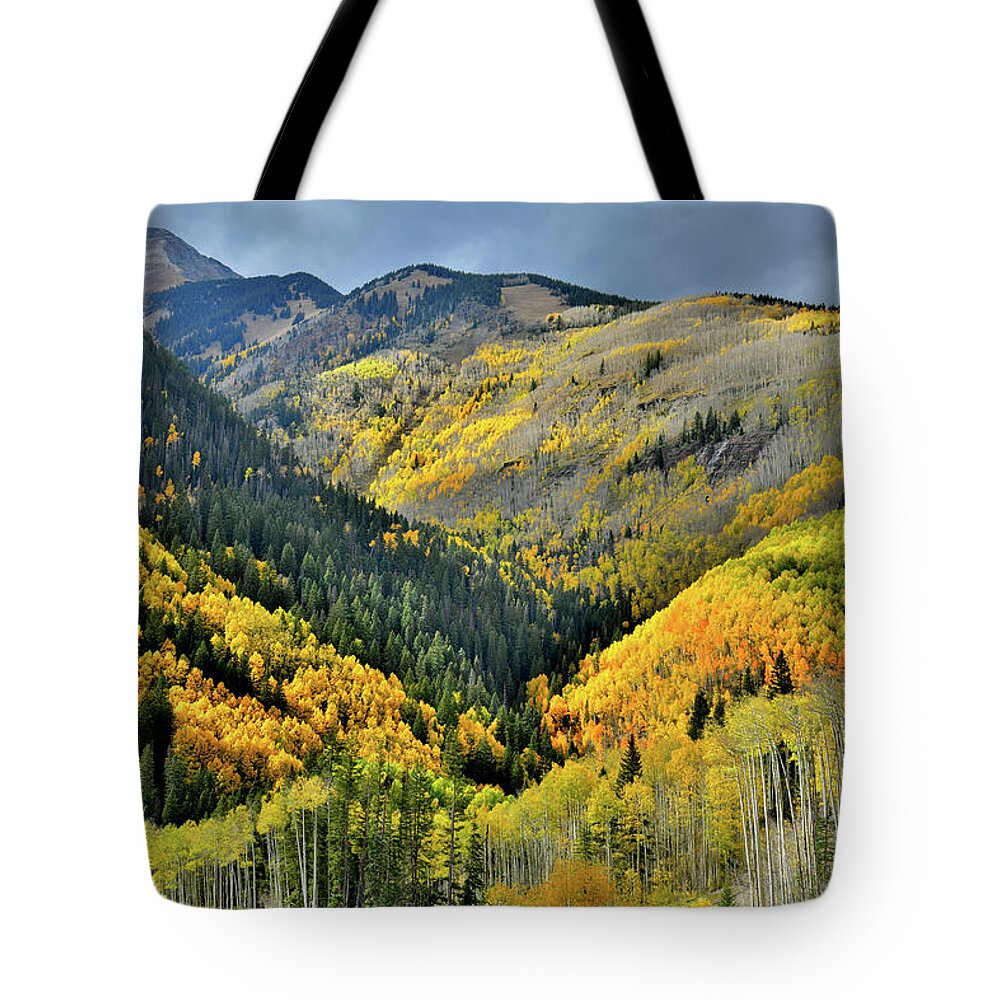 Highway 145 Tote Bag featuring the photograph Glowing Aspens on Mountainsides Along HWY 145 in CO by Ray Mathis