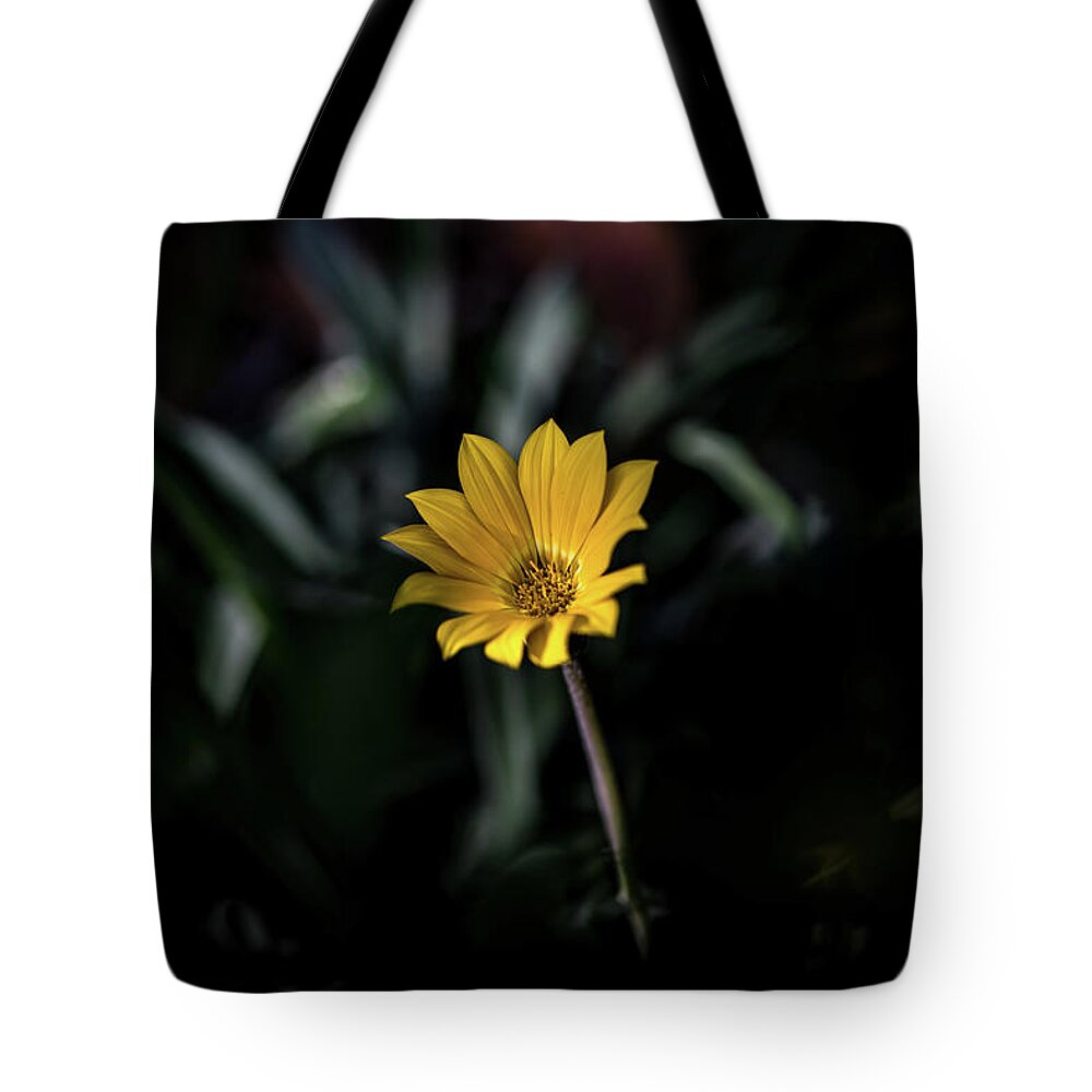 Flora Tote Bag featuring the photograph Glowing Brightly by Az Jackson