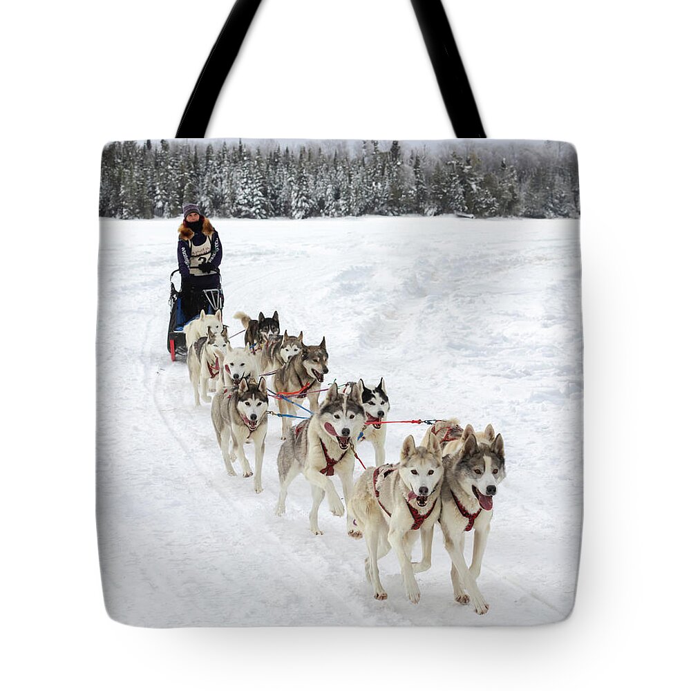 Sled Dog Race Tote Bag featuring the photograph Go Huskies by Susan Rissi Tregoning