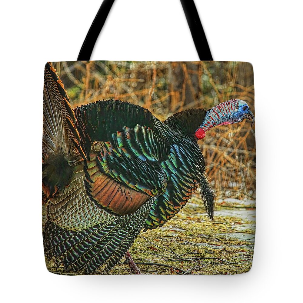 Wild Turkey Tote Bag featuring the photograph Gobbling In The Sunshine by Dale Kauzlaric