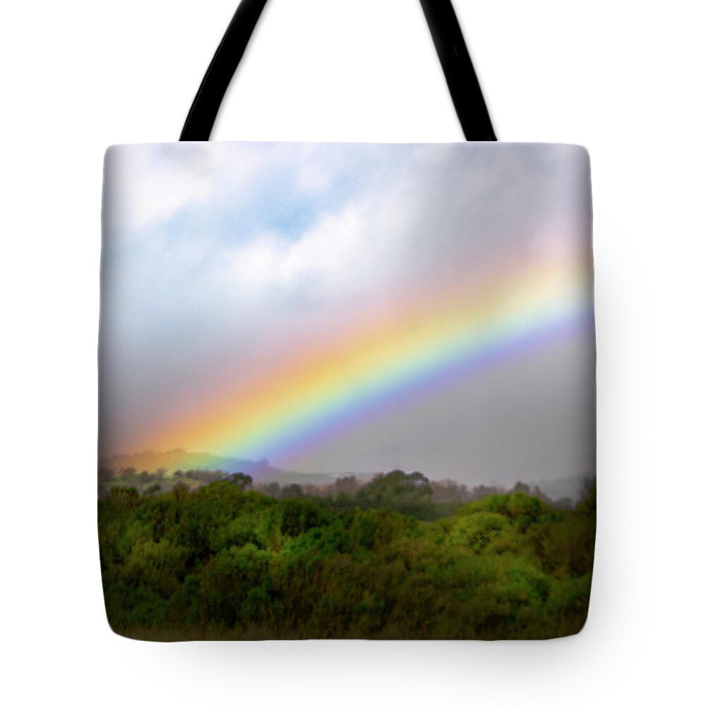 Rainbow Tote Bag featuring the photograph God's Intended Purpose by Brian Tada