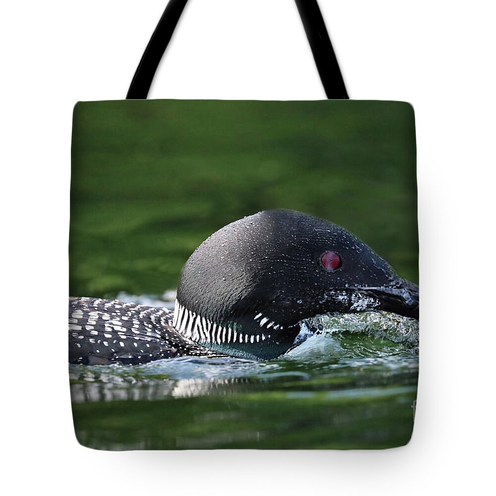 Common Loon Tote Bag featuring the photograph Going For The Big One by Sandra Huston