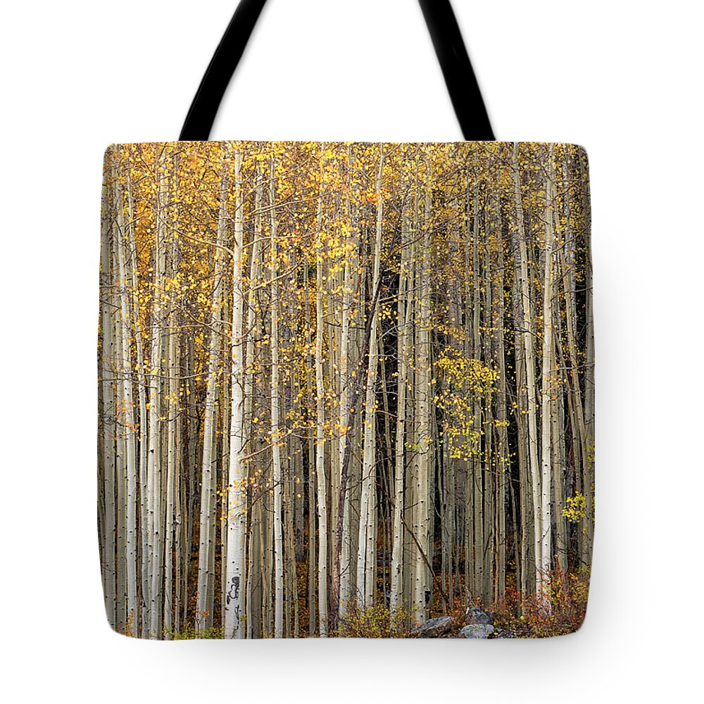 Colorado San Juans Tote Bag featuring the photograph Gold Dust by Angela Moyer