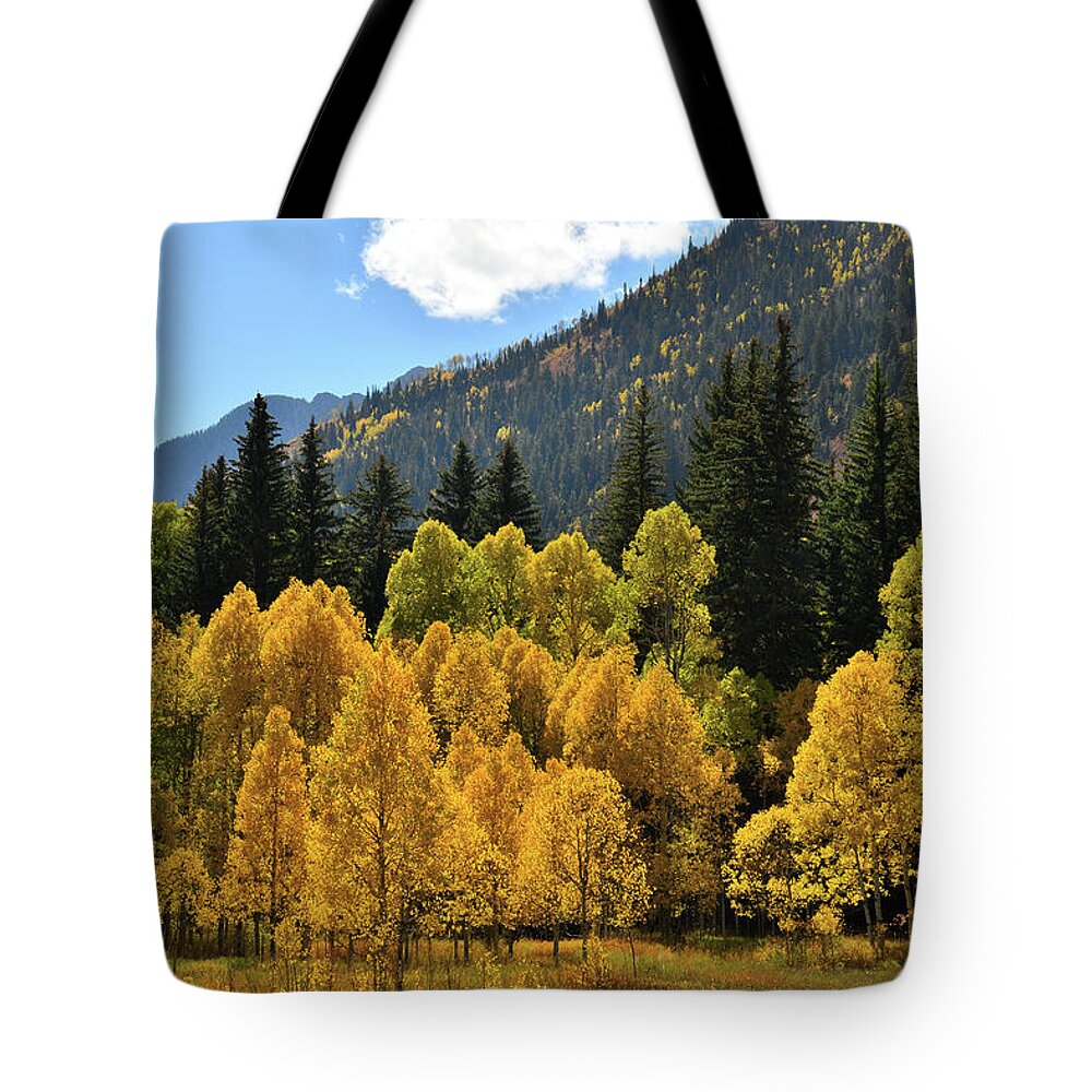Colorado Tote Bag featuring the photograph Golden Aspens on the Road to Marble Colorado by Ray Mathis