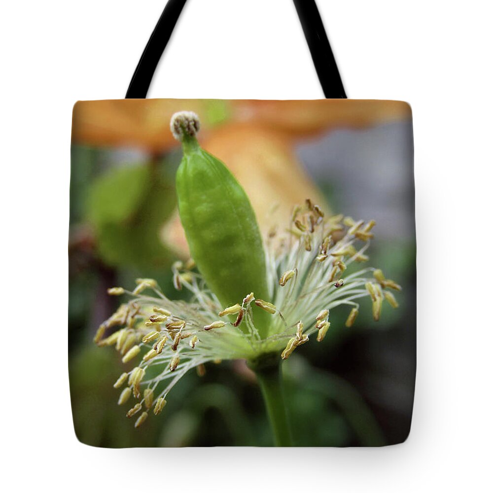 Poppy Tote Bag featuring the photograph Golden Delight 4 by Kim Tran