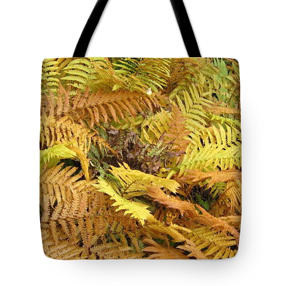 Ferns Tote Bag featuring the photograph Golden Ferns by Richard Stanford
